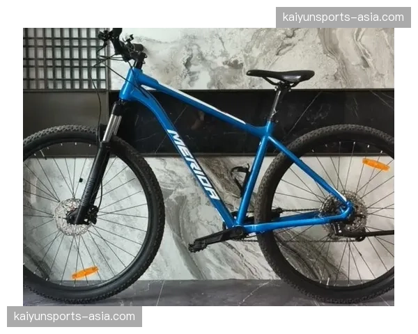 二手高端BMX自行车及零件在线交易平台获得新一轮融资